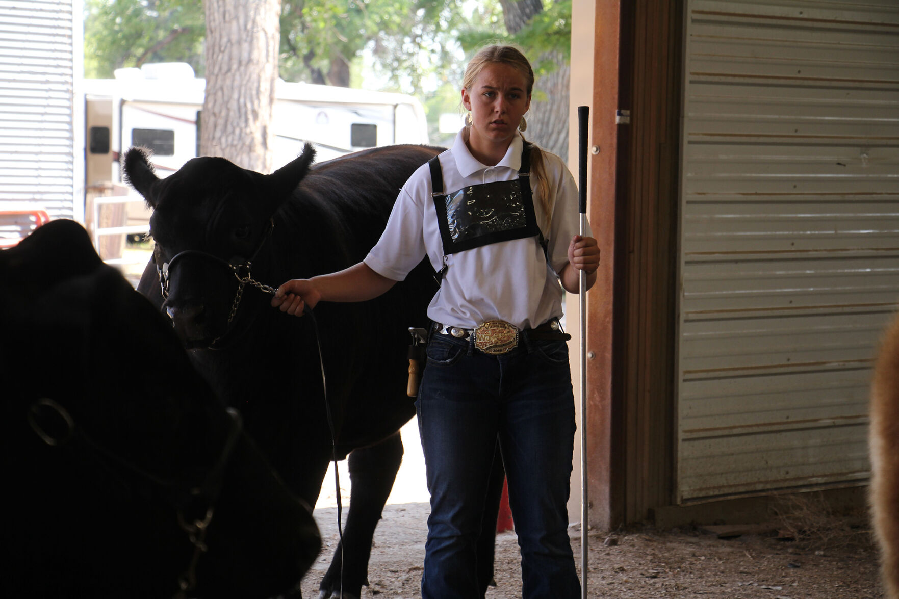 PHOTOS: More from the Scotts Bluff County Fair 2020
